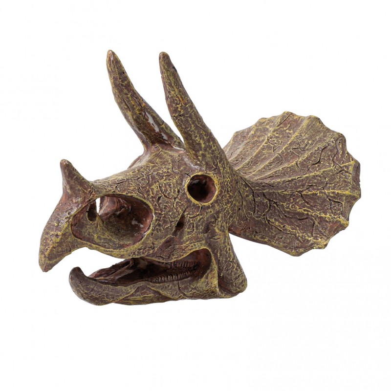 Kit de sapat - Craniu Triceratops | Buki - 1 | YEO