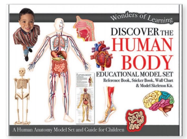 Set educational - Wonders of Learning - Human Body | North Parade Publishing