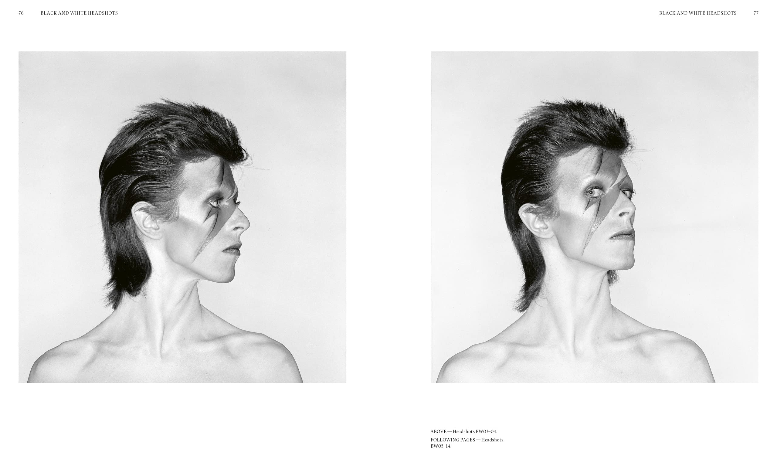 Aladdin Sane 50 | Chris Duffy - 2 | YEO