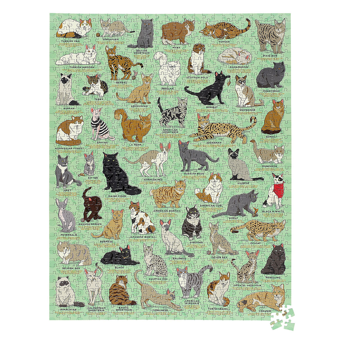 Puzzle 1000 piese - Cat Lover's Jigsaw Puzzle | Ridley's Games - 1