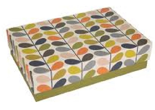  Cutie pentru depozitare - Flower Stem | Orla Kiely 