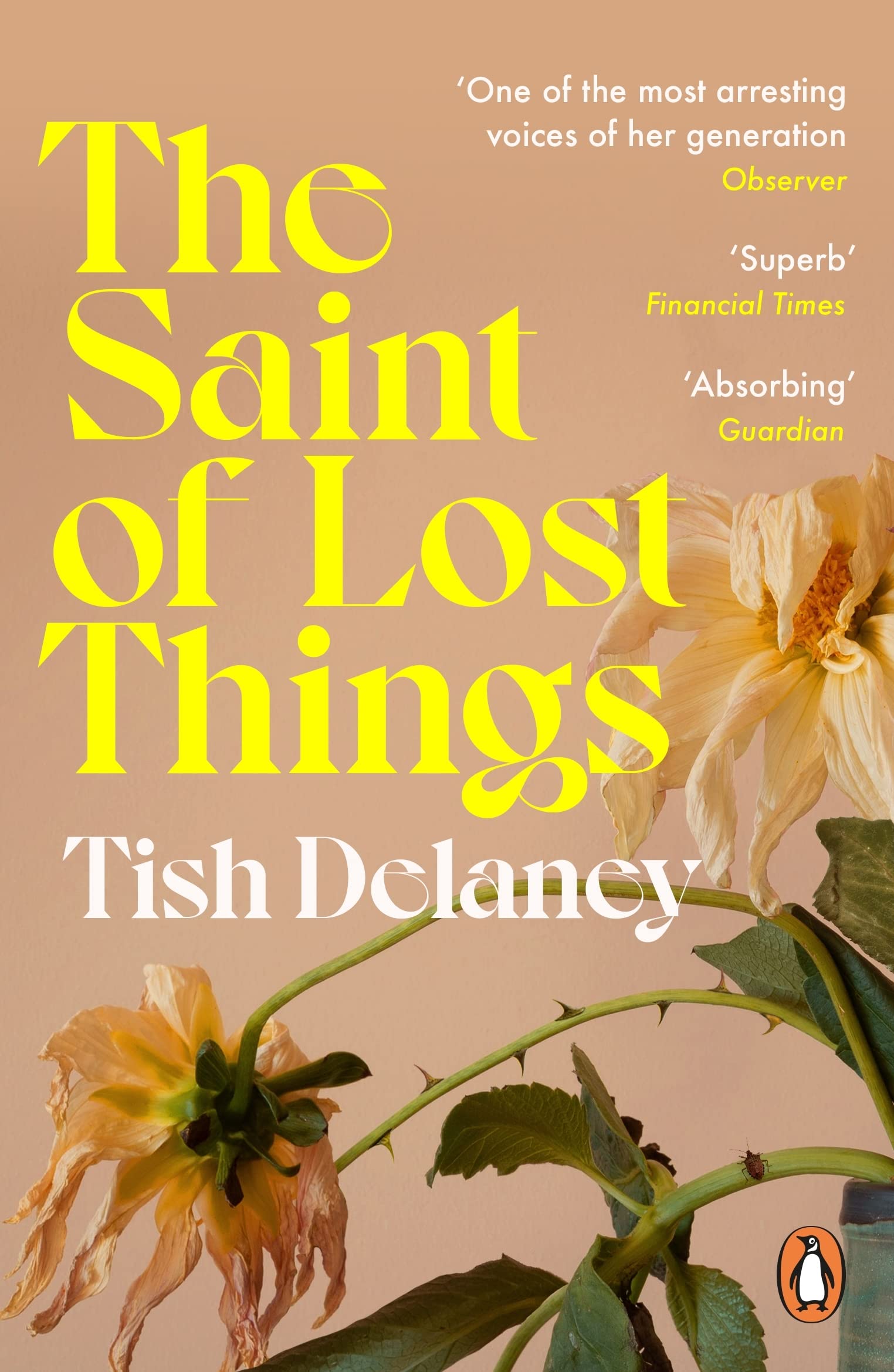 The Saint of Lost Things | Tish Delaney