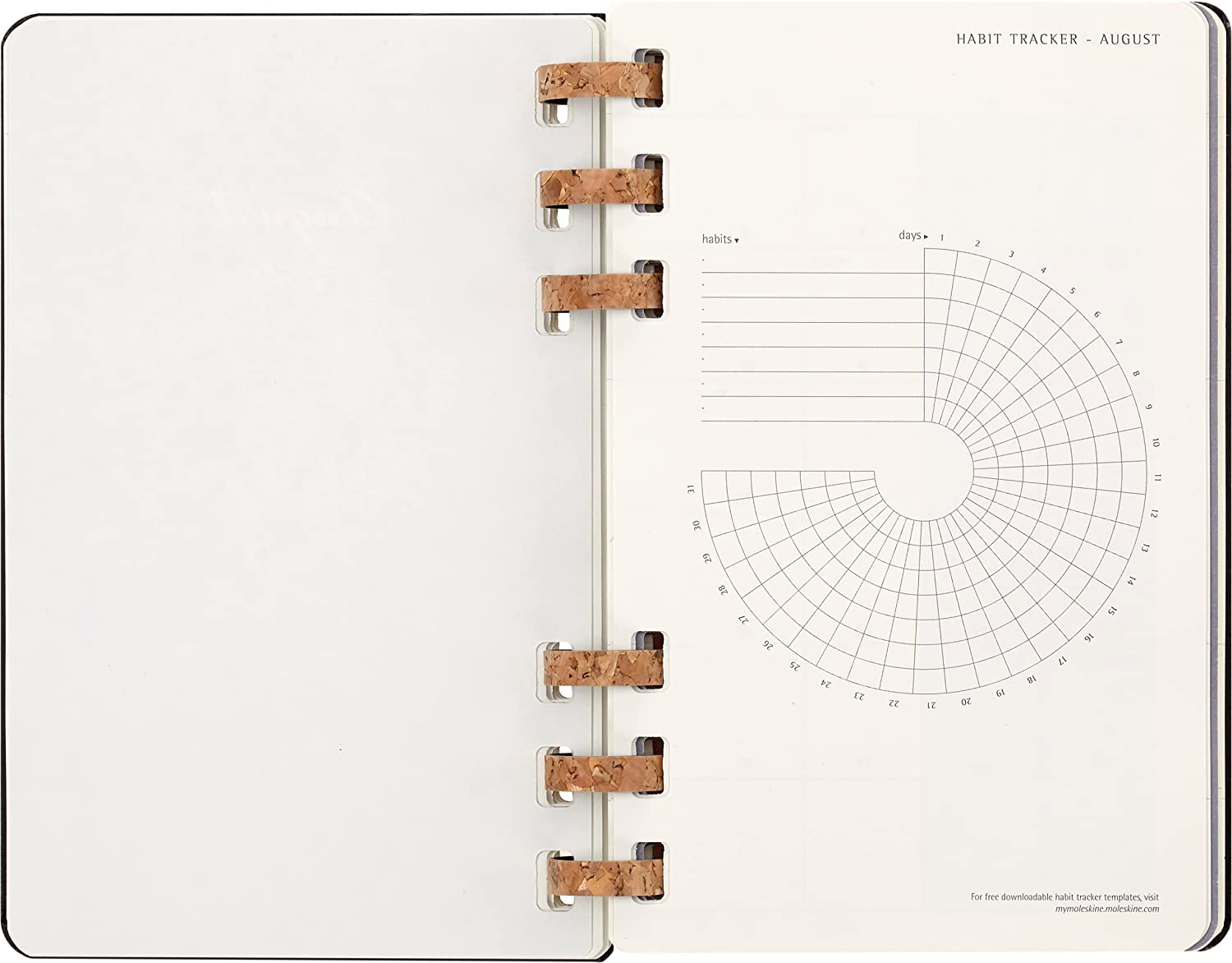 Agenda 2023 -2024 - 12-Months Academic Planner - Large, Spiral, Hard Cover - Black | Moleskine - 7 | YEO