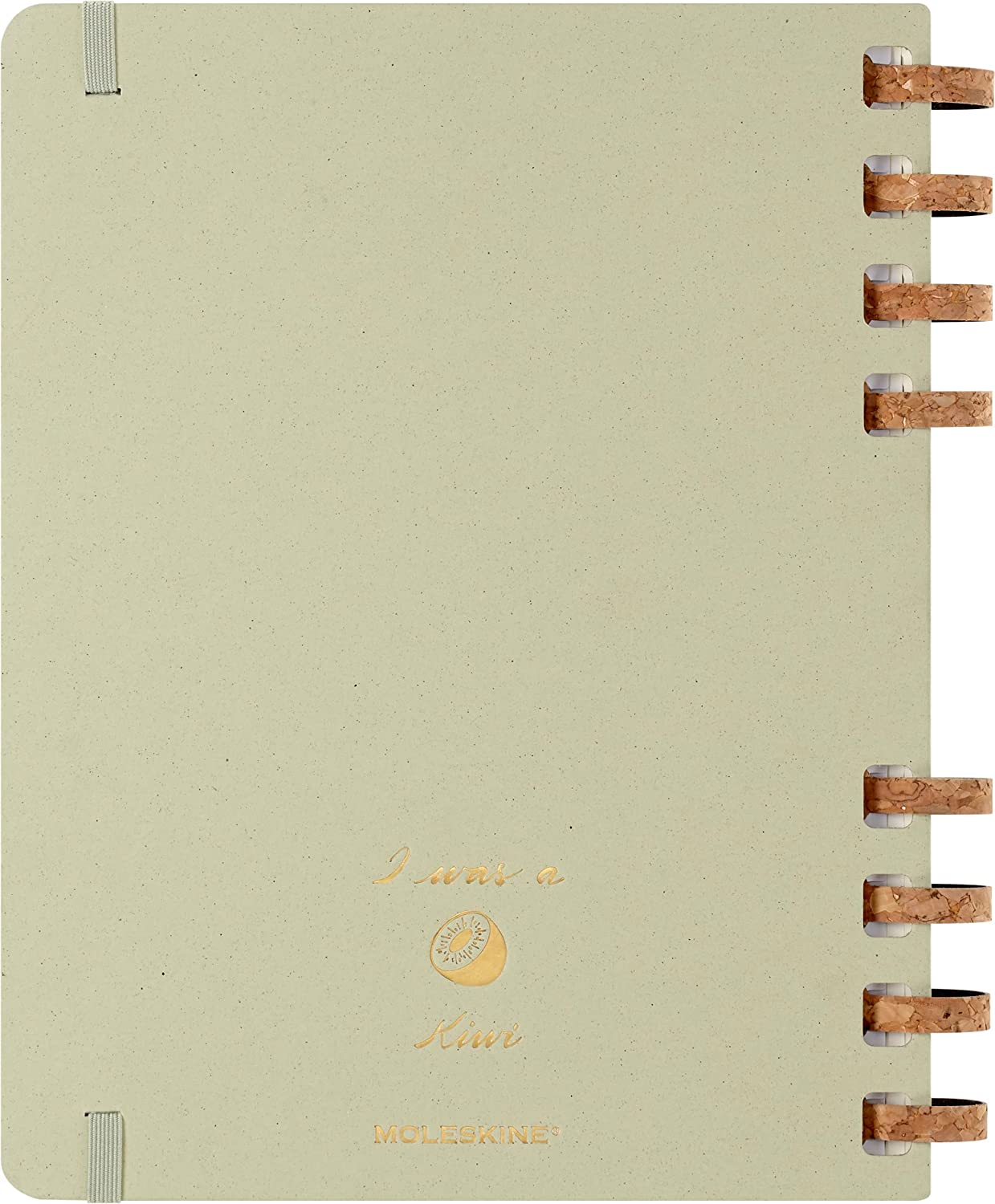 Agenda 2023 -2024 - 12-Months Academic Planner - XL, Spiral, Hard Cover - Crush Kiwi | Moleskine