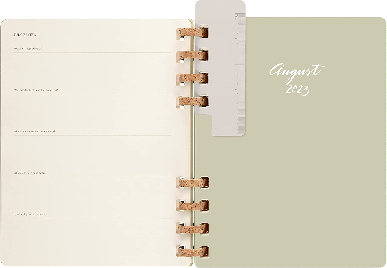 Agenda 2023 -2024 - 12-Months Academic Planner - XL, Spiral, Hard Cover - Crush Kiwi | Moleskine - 6 | YEO