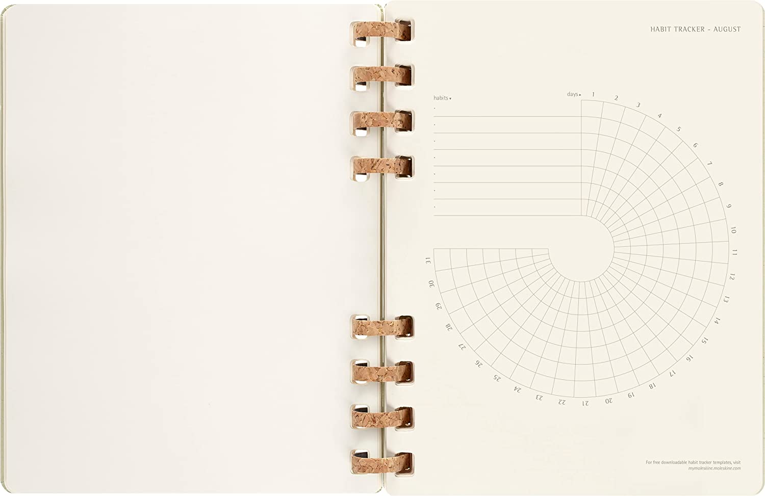 Agenda 2023 -2024 - 12-Months Academic Planner - XL, Spiral, Hard Cover - Crush Kiwi | Moleskine - 7 | YEO