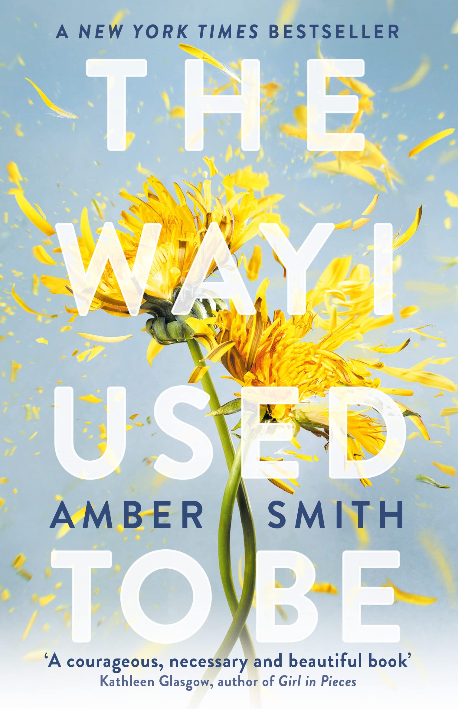 The Way I Used to Be | Amber Smith