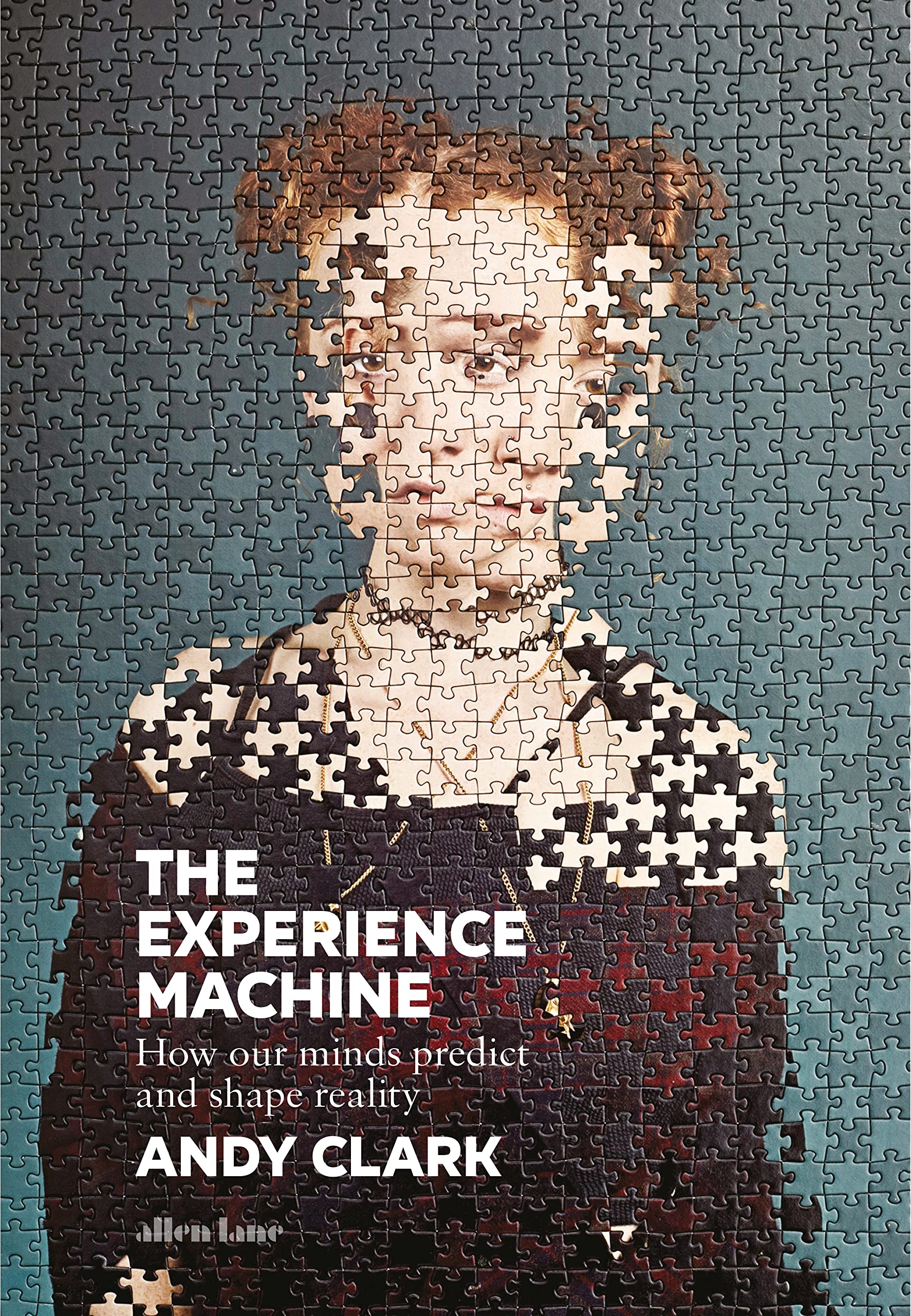 The Experience Machine | Andy Clark