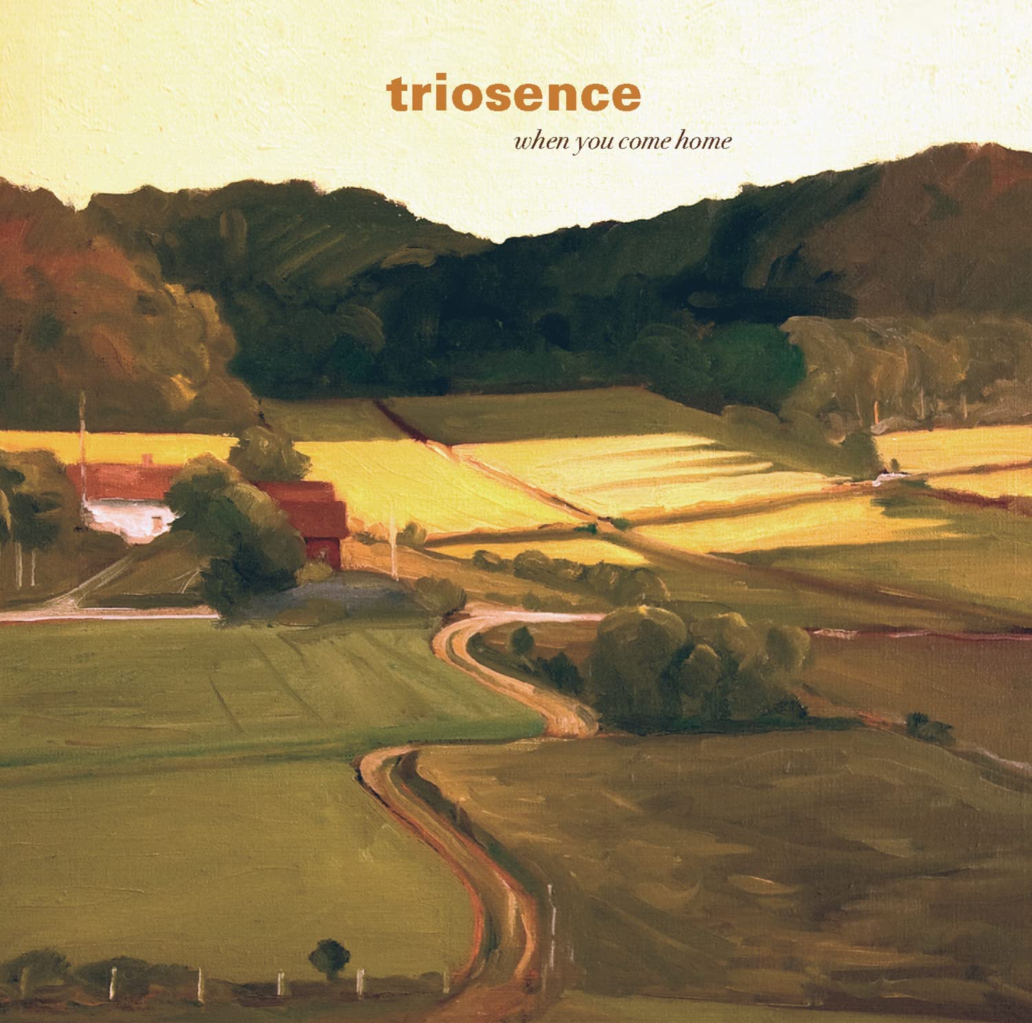 When You Come Home | Triosence