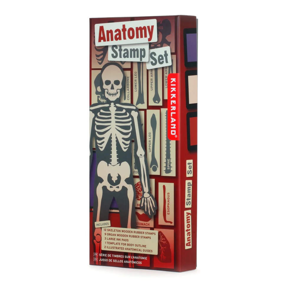 Set stampile - Anatomy Stamp Set | Kikkerland