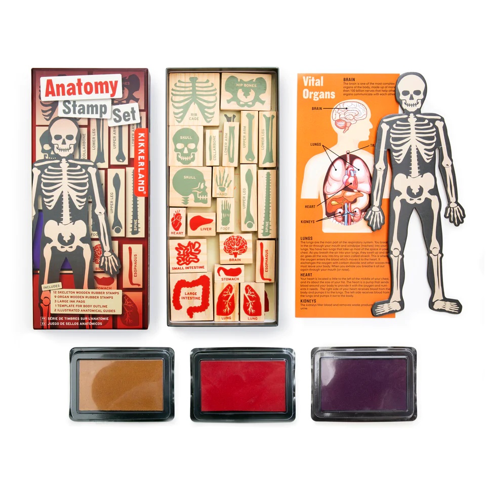 Set stampile - Anatomy Stamp Set | Kikkerland - 2 | YEO