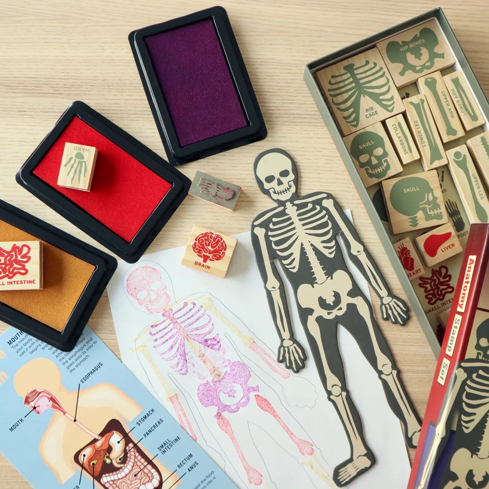 Set stampile - Anatomy Stamp Set | Kikkerland - 4 | YEO