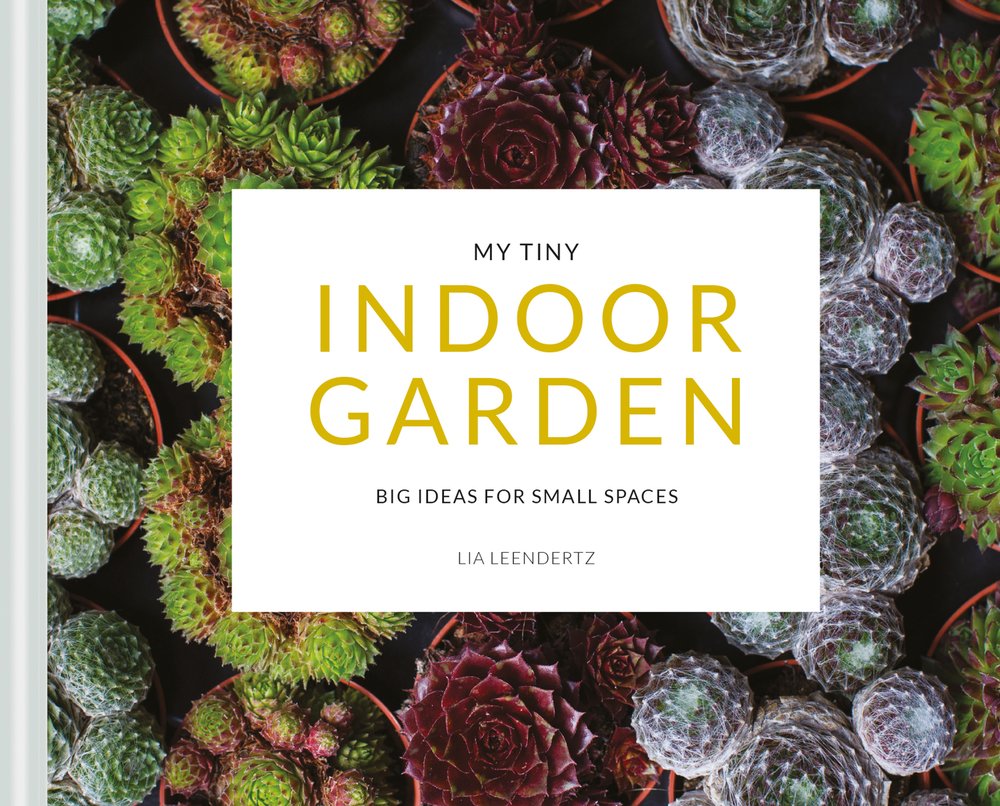 My Tiny Indoor Garden | Lia Leendertz