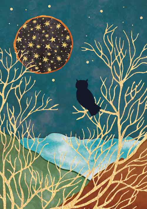 Felicitare - Moonstone - Night Owl | Artige