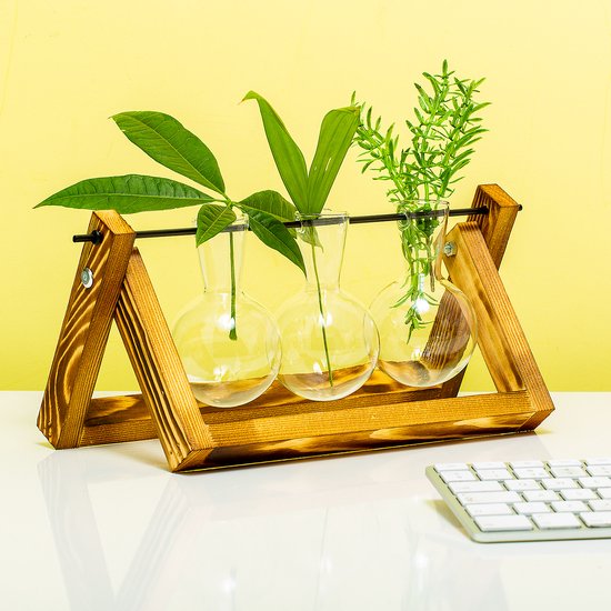 Set 3 vaze - Hydro Vase Blossom | Winkee