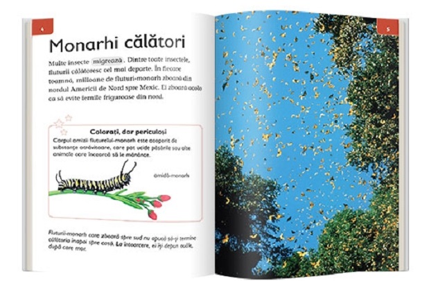 Mari calatorii  | Robert Coupe