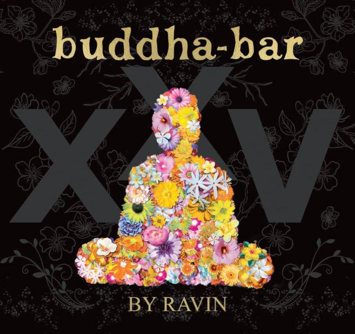 Buddha-Bar XXV | Various Artists