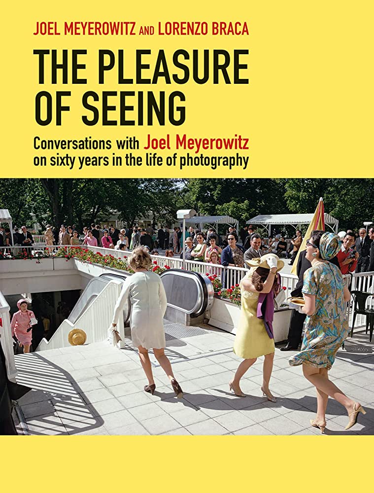 The Pleasure of Seeing | Joel Meyerowitz