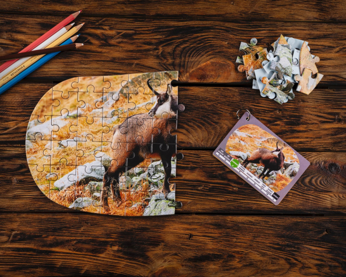 Puzzle 3x50 piese - Oda pentru animale din Romania | Titia - 2 | YEO