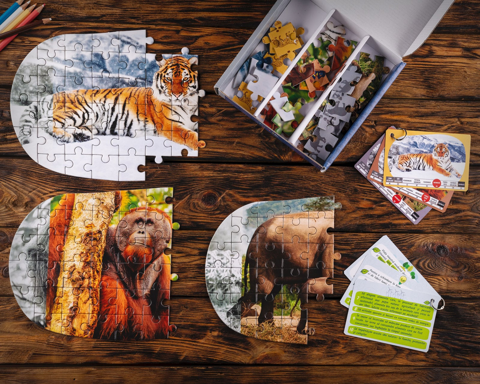 Puzzle 3x50 piese - Oda pentru Animale pe cale de disparitie din Asia | Titia - 3