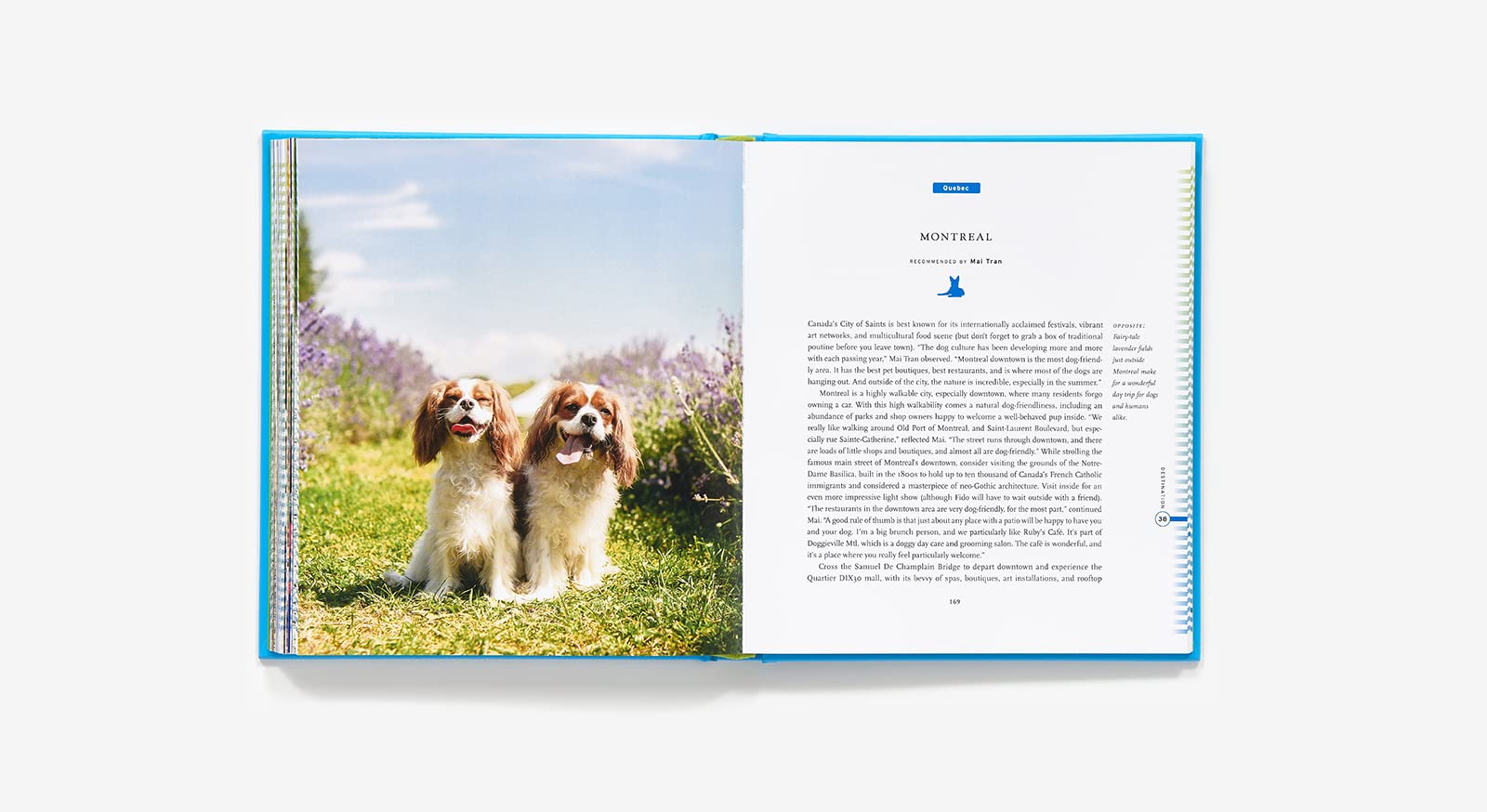 Fifty Places to Travel with Your Dog | Chris Santella, DC Helmuth - 2 | YEO