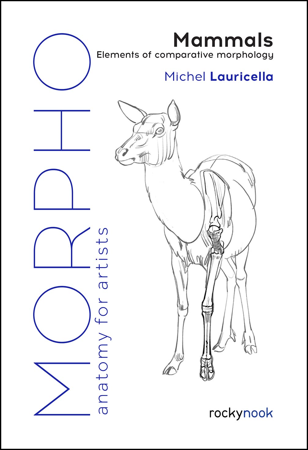 Morpho | Michel Lauricella