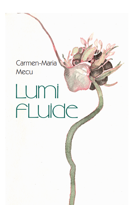 Lumi fluide | Carmen-Maria Mecu