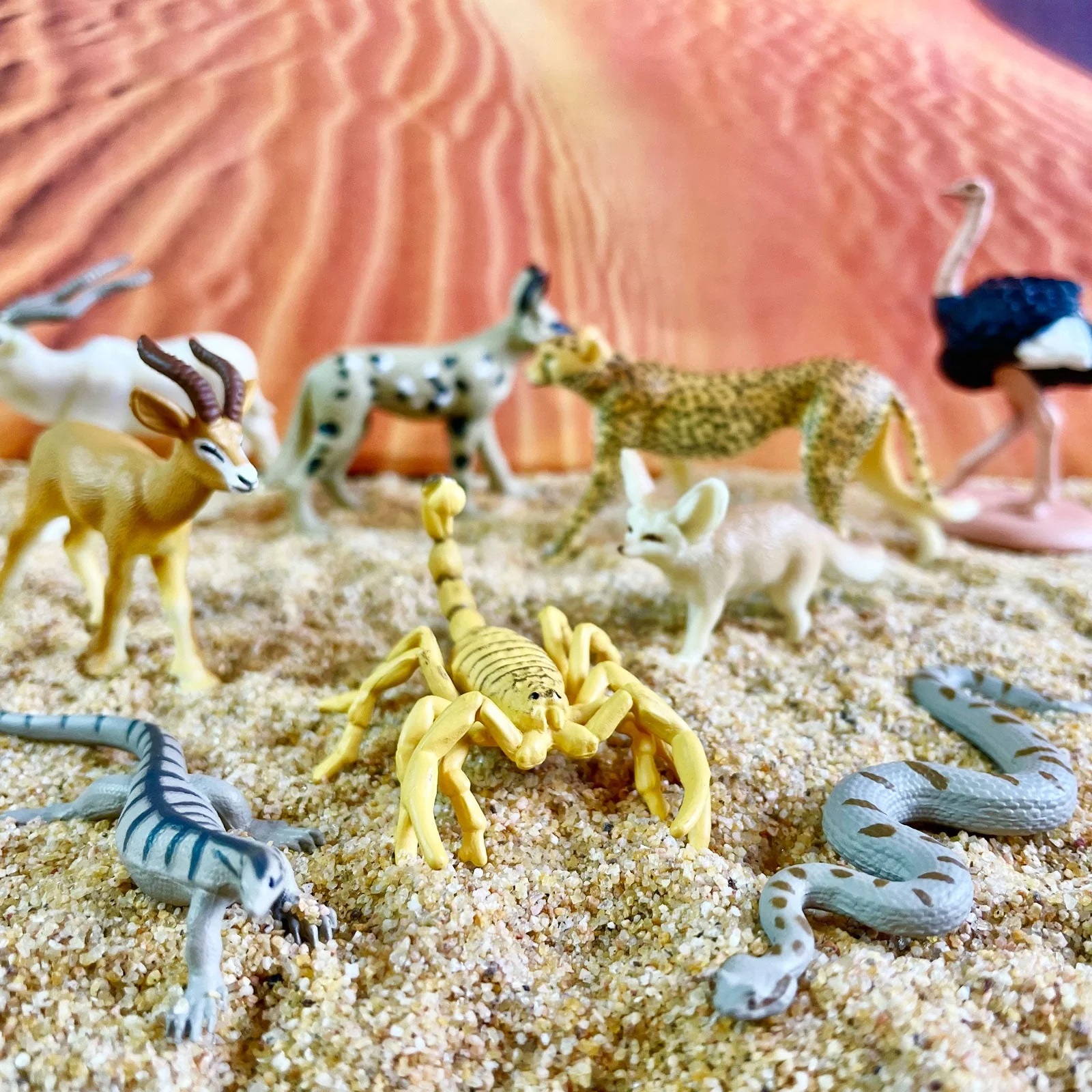 Tub 9 figurine - Desertul Sahara | Safari - 2 | YEO