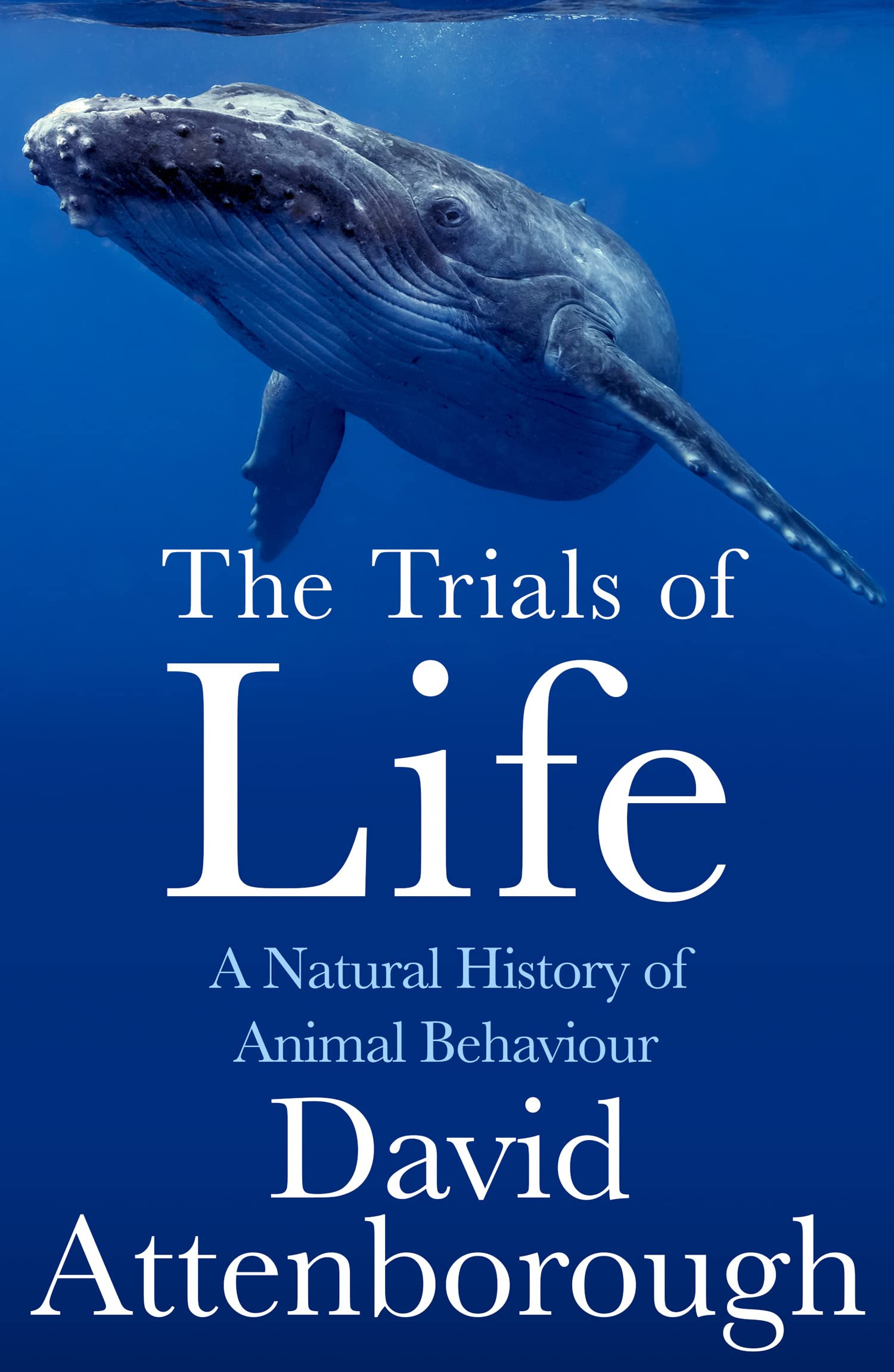 The Trials of Life | David Attenborough