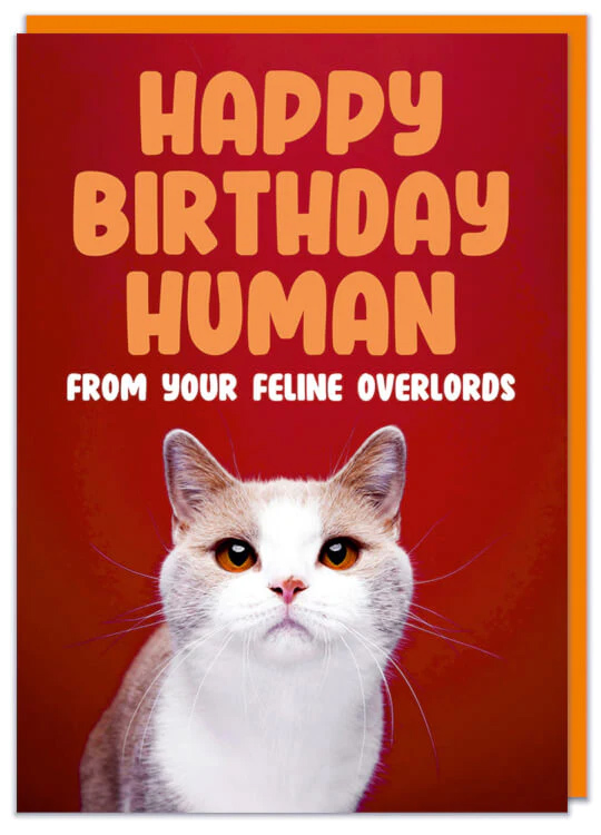 Felicitare - Feline overlords | Dean Morris Cards - 2 | YEO