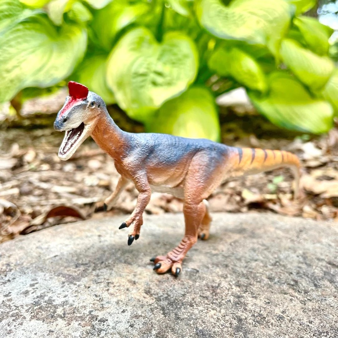 Figurina - Cryolophosaurus | Safari - 3 | YEO