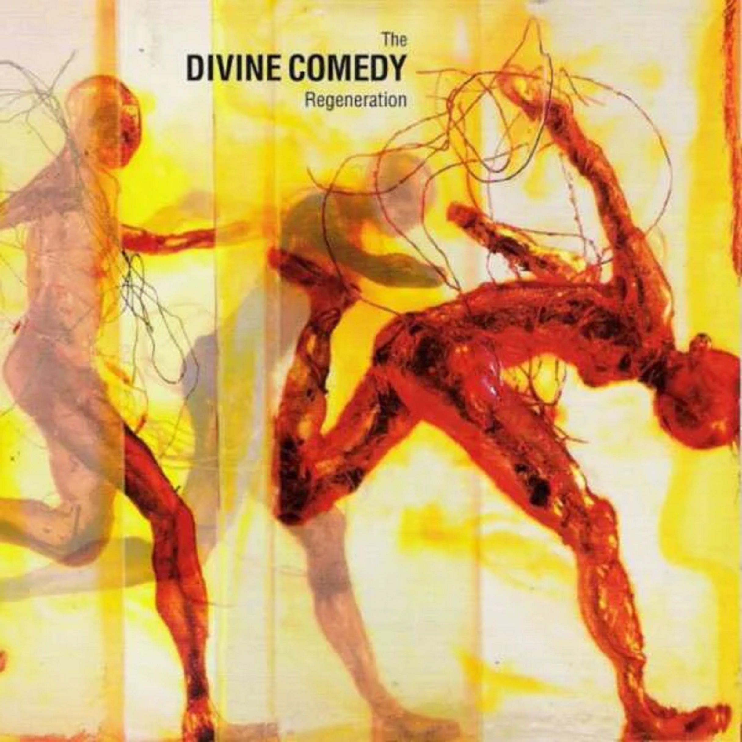 Regeneration - Vinyl | The Divine Comedy