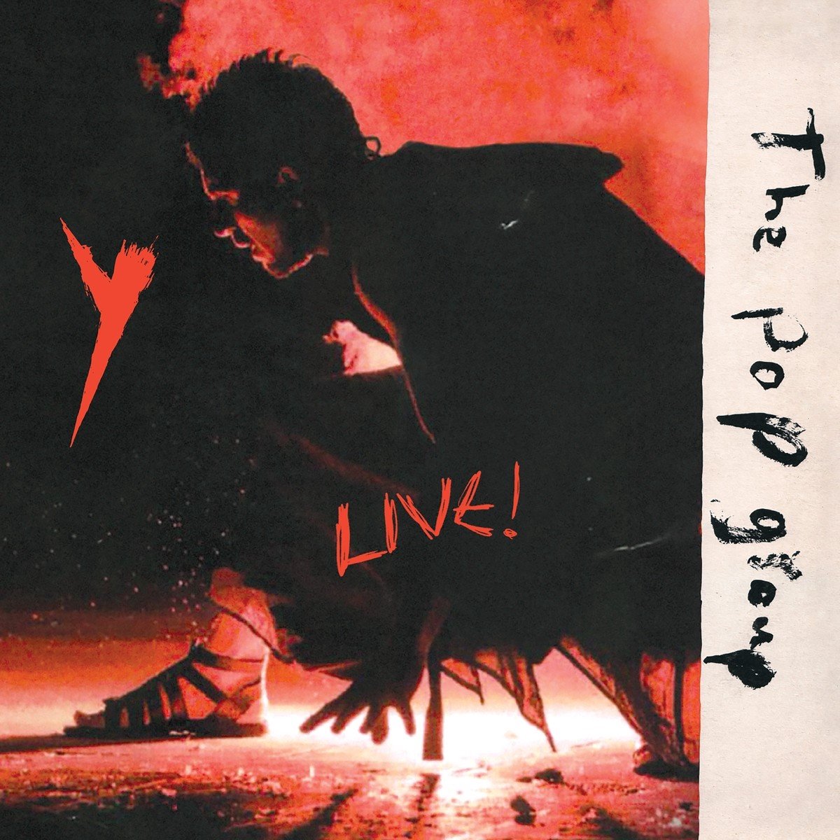 Y Live - Vinyl | The Pop Group