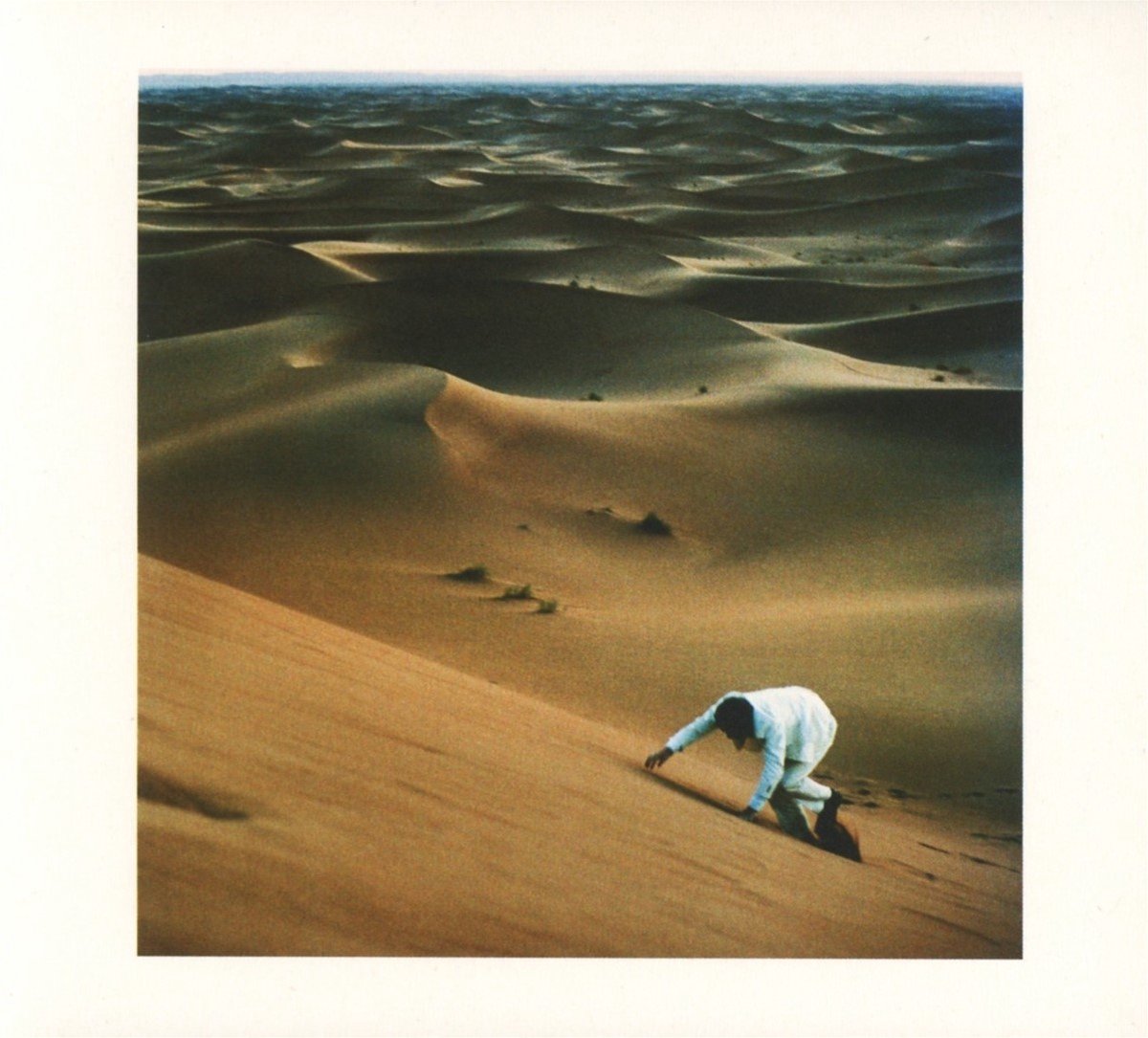 Prince Of Tears | Baxter Dury