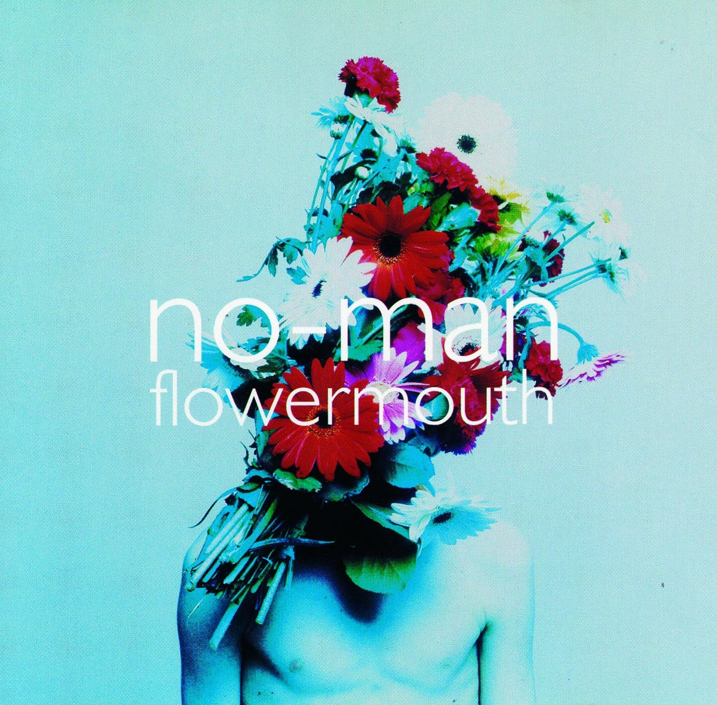 Flowermouth | No-Man