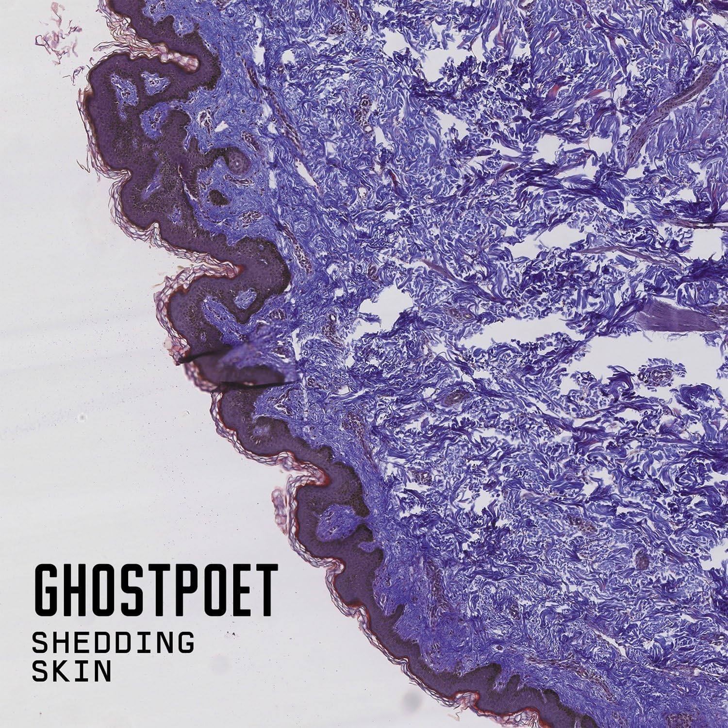 Shedding Skin - Vinyl | Ghostpoet