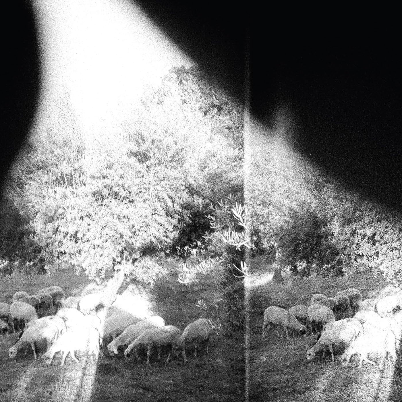 Asunder, Sweet And Other | Godspeed You! Black Emperor - 1 | YEO