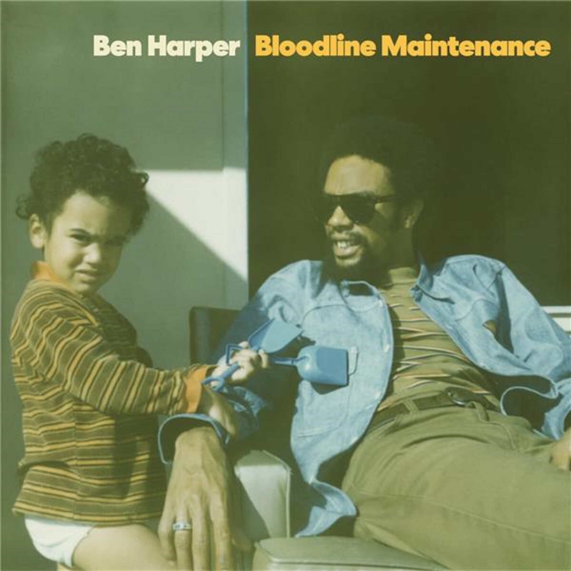 Bloodline Maintenance - Vinyl | Ben Harpper