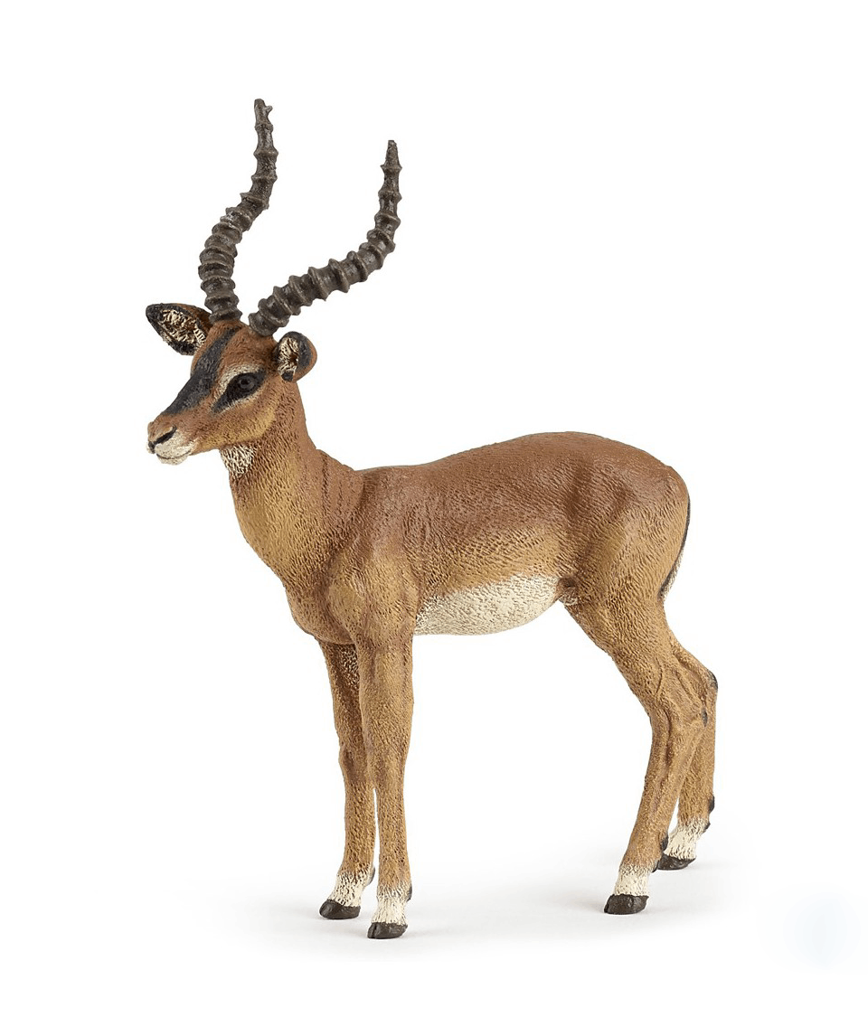 Figurina - Wild animal kingdom - Impala | Papo