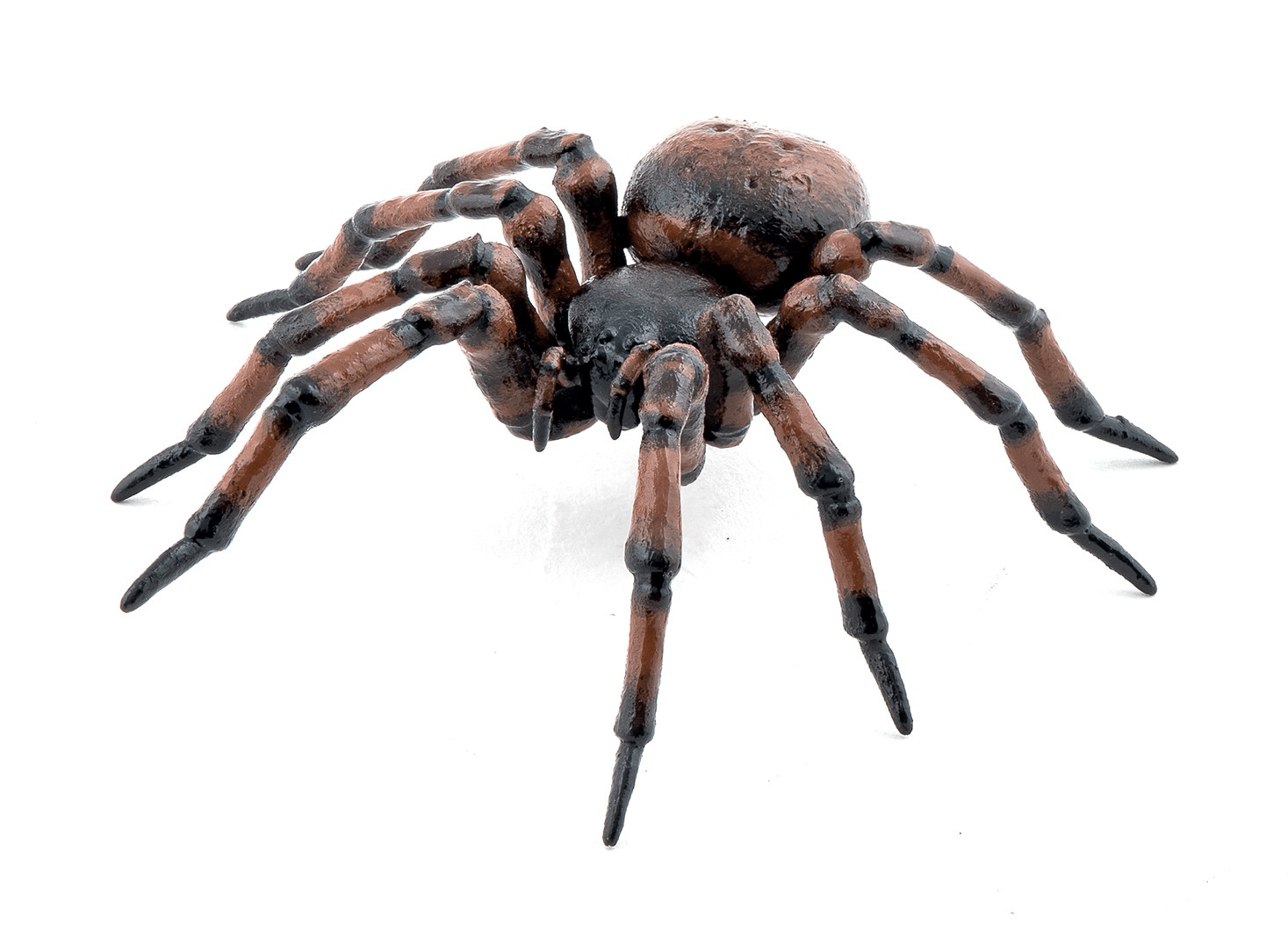 Figurina - Garden animals - Common spider | Papo