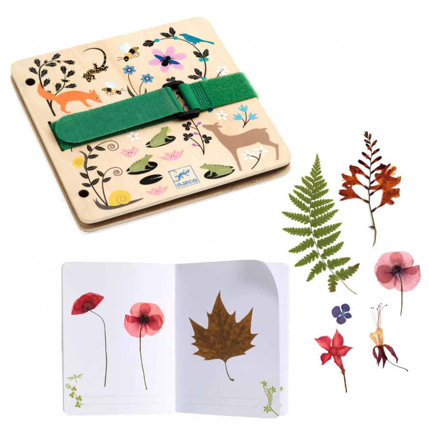 Set creatie - Botanica | Djeco