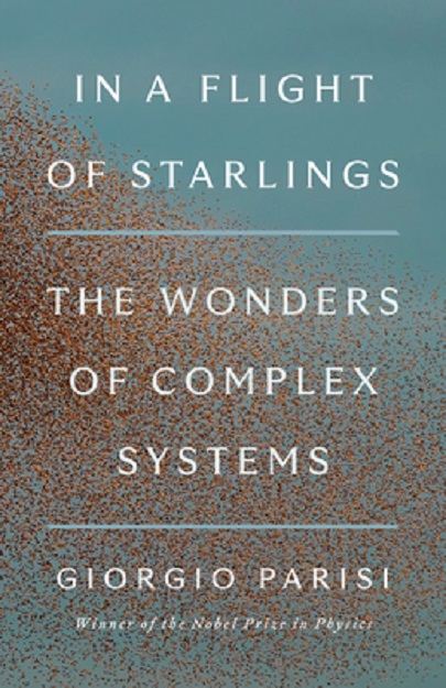 In a Flight of Starlings | Giorgio Parisi