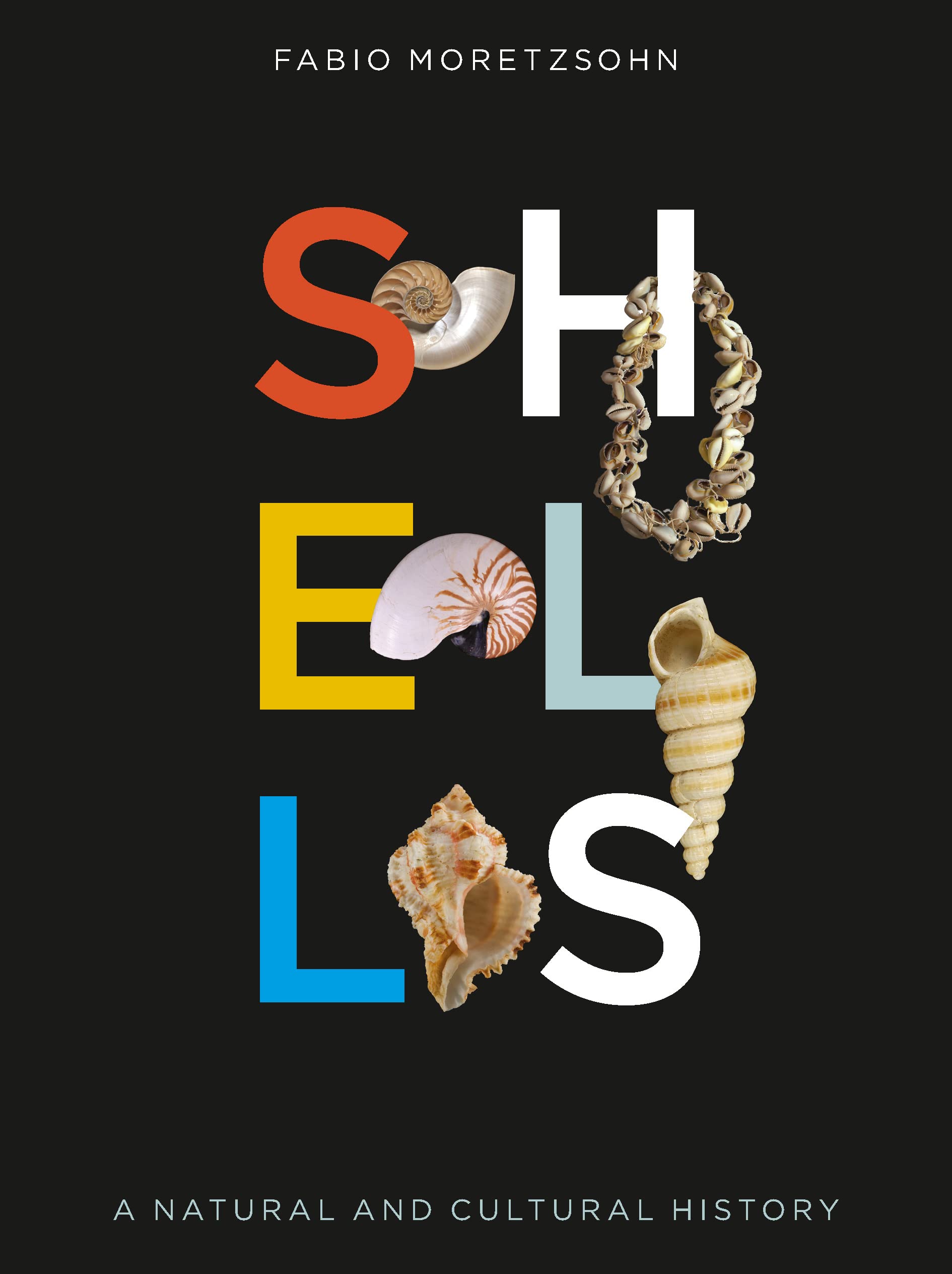 Shells | Fabio Moretzsohn