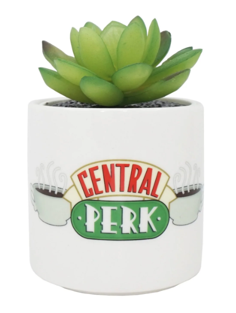 Ghiveci plante - Friends - Central Perk | Half Moon Bay - 1 | YEO