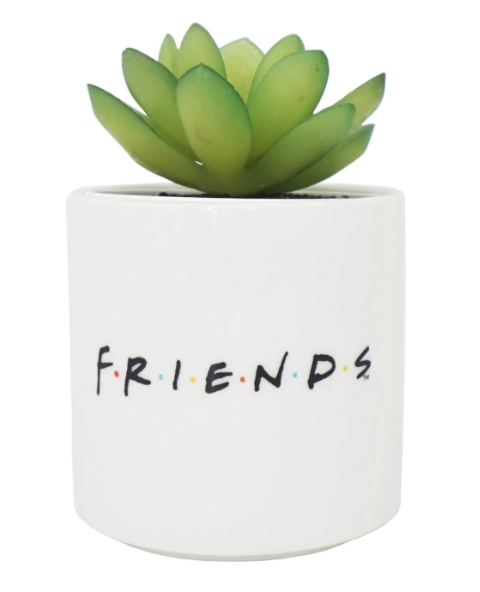 Ghiveci plante - Friends - Central Perk | Half Moon Bay