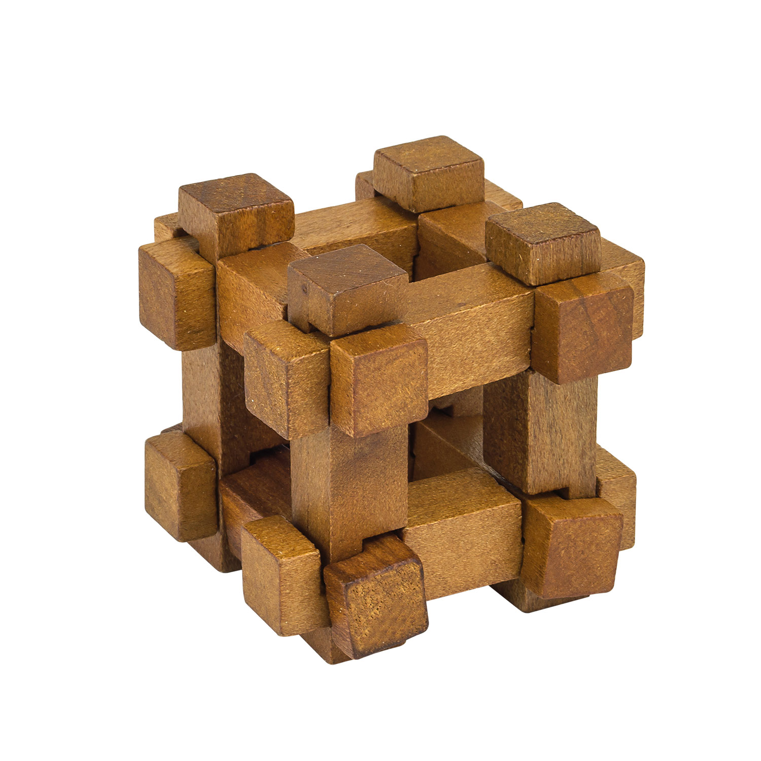 Puzzle - Darwin's Chest | Professor Puzzle image