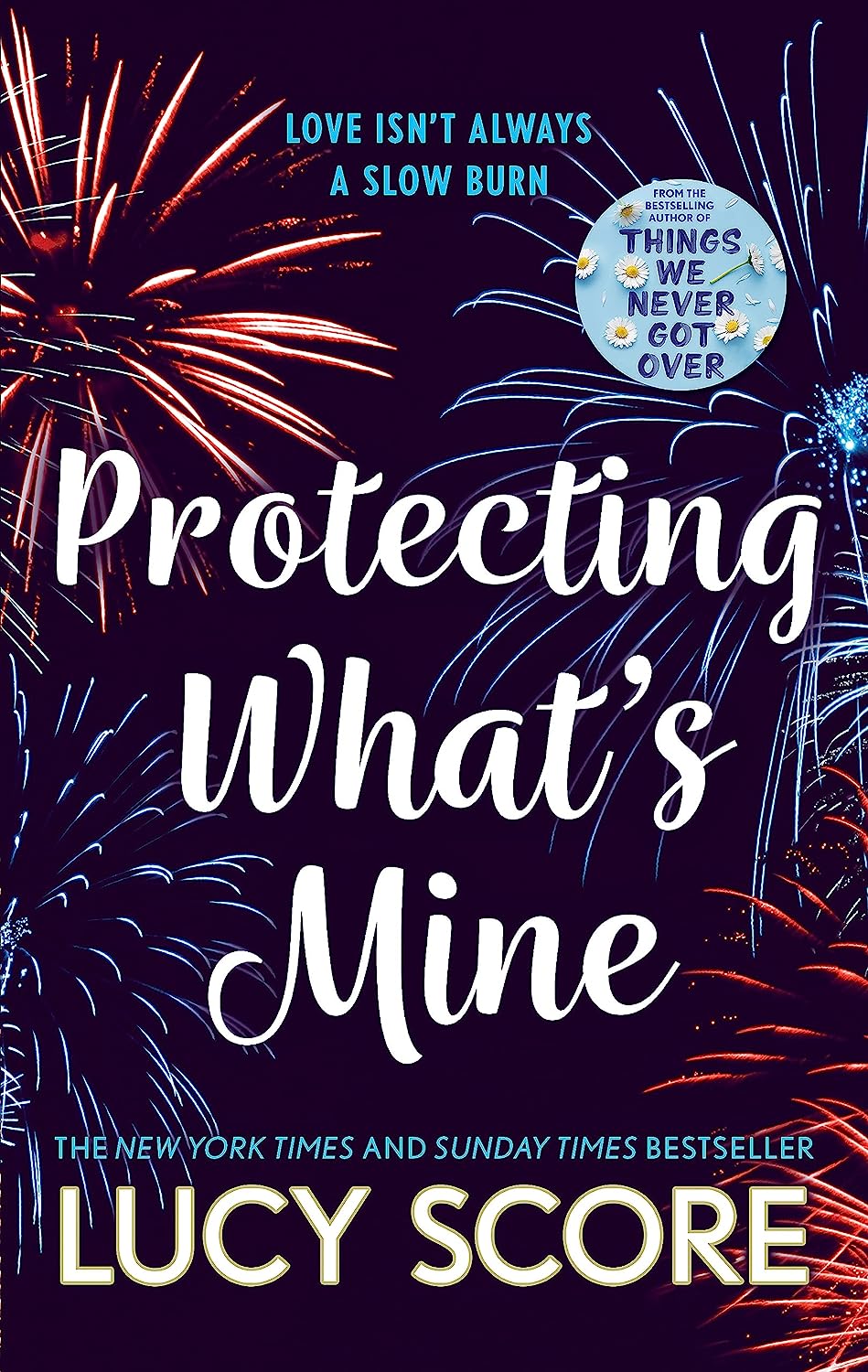 Protecting What’s Mine | Lucy Score