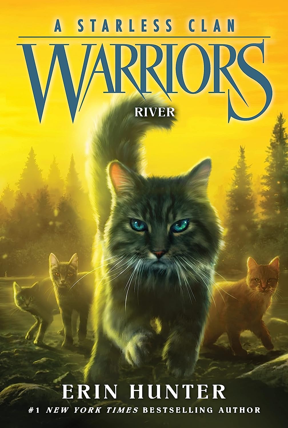 Warriors: A Starless Clan - Volume 1 | Erin Hunter