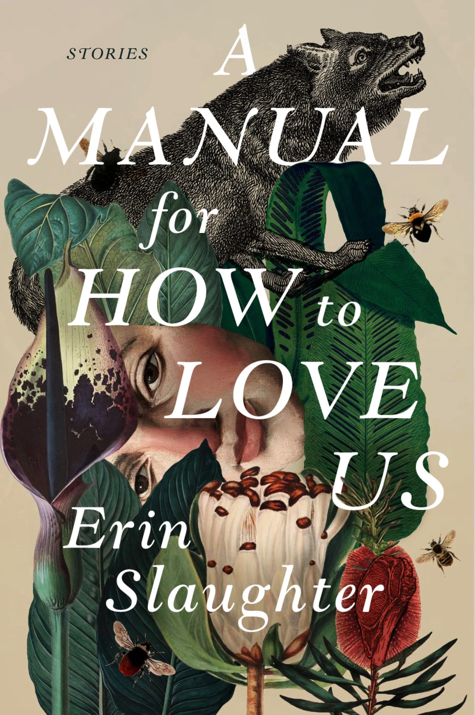 A Manual for How to Love Us | Erin Slaughter