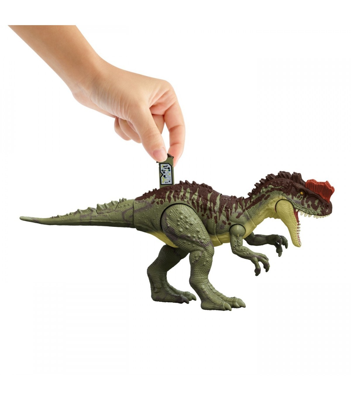 Figurina - Jurassic World Massive Action Dinozaur Yangchuanosaurus | Mattel - 4 | YEO